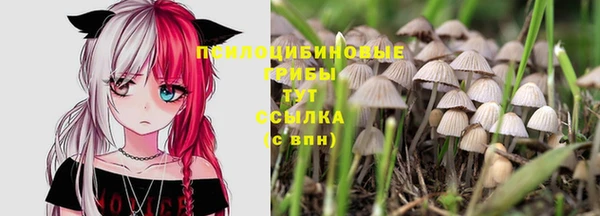 гашишное масло Алзамай