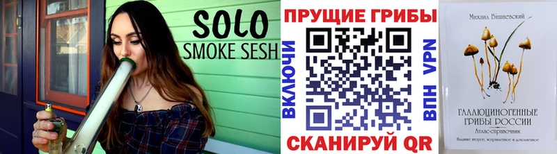 магазин  наркотиков  Полевской  kraken как войти  Псилоцибиновые грибы Psilocybe 